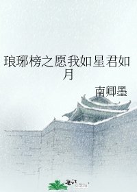 (琅琊榜同人)琅琊榜之願我如星君如月